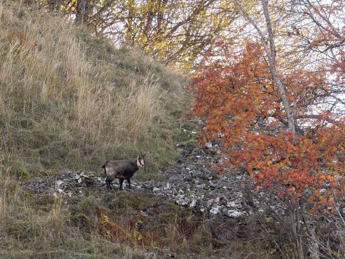 05112025-05 10 25 (12).jpg